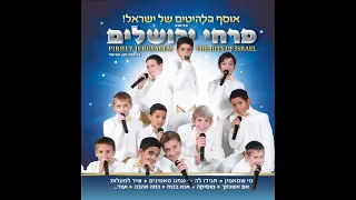 שלום על ישראל פרחי ירושלים 2000 