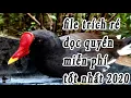 Bẫy chim trích ré file tiếng trích ré mồi chuẩn đọc quyền bẫy loa bẫy mồi giả tốt nhất 2020