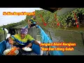 Download Lagu Luar Biasa Hasil Pasang Perangkap Kali Ini Langsung Masak Kepiting Kuah Rempah Merah