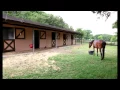 Ocala Florida Mini Farm for Sale - Horses Allowed