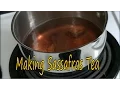 Harvesting Edible Sassafras Root For Making Tea