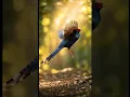 Download Lagu A Kalij pheasant with sleek flying in forest 🌳 #Kalij#pheasantfarm #birds #nature