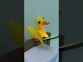 Download Lagu When you left your door open! 😱 #shorts #funny #duck