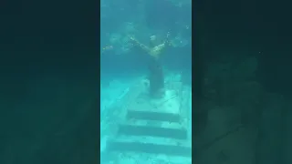 Christ of the Abyss #christ #shortvideo #shorts #shortsvideo #short #shortsfeed #shortsviral