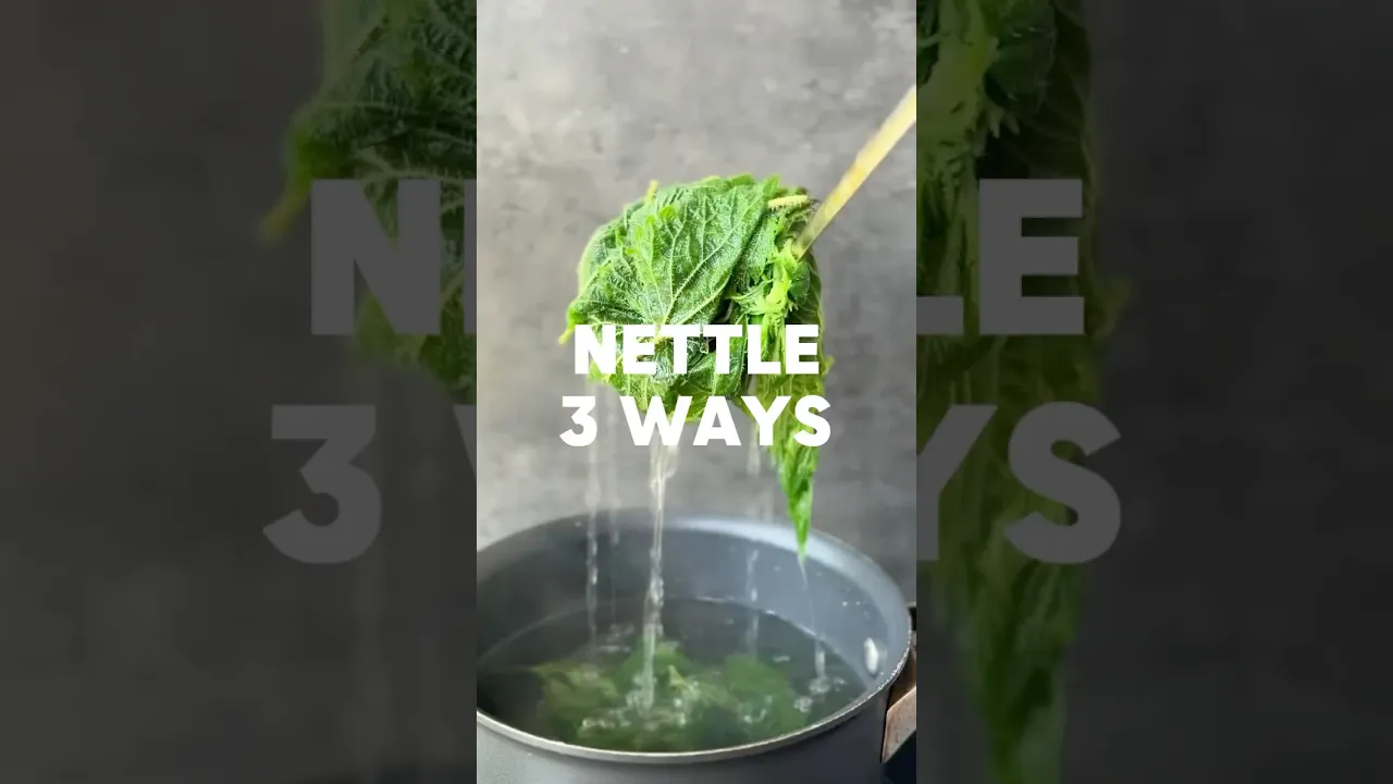 WILD EATS EP. 1 - NETTLE 3 WAYS  Nettle Pesto, Nettle & Ginger Cordial and Detox Nettle Juice 