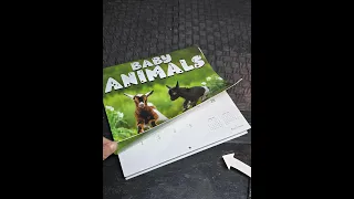 What is Inside this Wall Calendar with Baby Animals