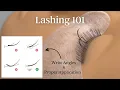 LASHING 101 ANGLES PROPER PLACEMENT DIRECTION AND FLOW Veyelash Veyes