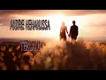 Download Lagu ANDRE HEHANUSSA - Terlalu