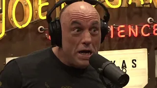 Joe Rogan MrBallen on the TERRIFYING Theory About Human Origins