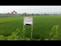 Download Lagu Kustian - Desa Jadi Kota (Karaoke Tanpa Vokal)