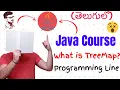 What is TreeMap in Java in Telugu Java in Telugu
