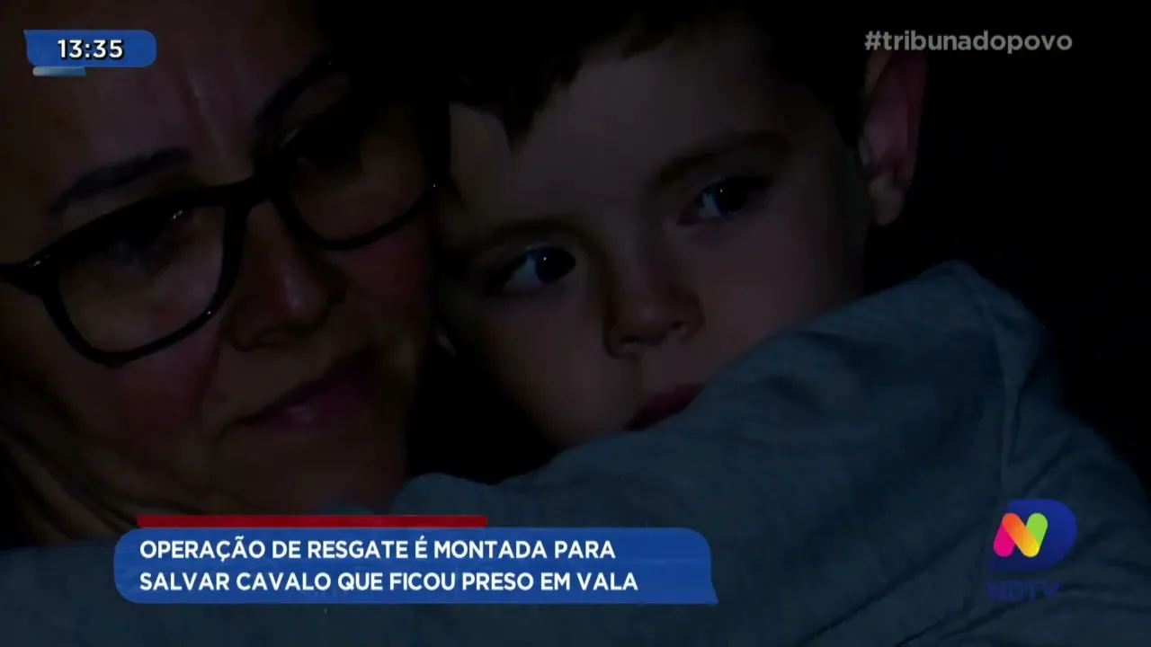 Operação de resgate é montada para salvar cavalo que ficou preso em vala