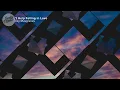 Kacey Musgraves - Can't Help Falling in Love (Lyrics)
