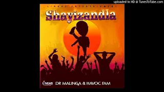 dr malinga u0026 havoc fam shayizandla