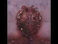 Teri Main