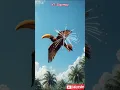 Download Lagu wowwwww very beautiful bird 😘 #shorts #birds #ai #shortvideo #fyp #sigemoy #animation #trending