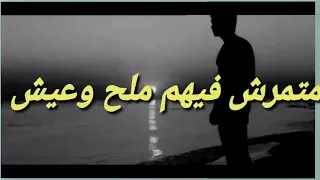 ربيع البركه 