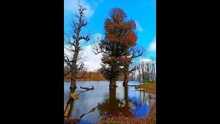 مقنين المدية دندنها