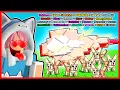 Download Lagu ATUN MENGGUNAKAN 8 FENNEC FOX UNTUK MENCURI SEMUA MUTASI DI ELEPHANT EAR !! Feat @sapipurba Roblox