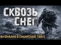 Download Lagu СКВОЗЬ СНЕГ - Аномалия в сибирской тайге. Страшные истории на ночь про лес MP3