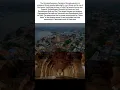 Download Lagu Sri Arulmigu Ramanathaswamy Temple in Rameswaram, Tamil Nadu#rameshwaram#shiv#temple#jyotirlinga#ram