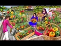 Download Lagu Two Story Terrace Garden Capsicum Farming Vegetables Grow Hindi Kahaniya Moral Stories Hindi Stories