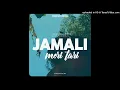 Download Lagu NTS Crew - JAMALI (Meri Tari) 2025