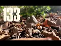 Download Lagu Misc #133 - Sloe TV