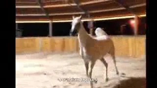 سولفي للناس اني دندنها
