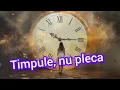 Lagu Deyu Music - Timpule, nu pleca