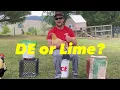 Diatomaceous Earth Vs Lime For Chickens Which One Should You Use