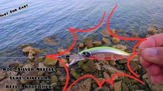 صيد كاستنج شاطئ يوم جميل وكله اكشن Lets Go Fishing Action Casting Wow 