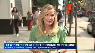 A man charged in a deadly weekend hit-and-run crash in Lakeview was placed on electronic monitoring