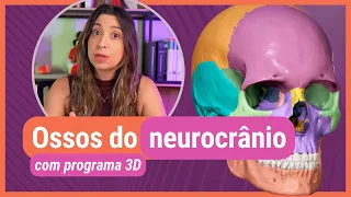 OSSOS DO NEUROCRÂNIO! Com programa 3D