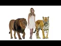 Size Comparison - How Big Are Animals Compared to a Human