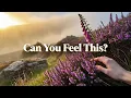 Download Lagu Have You Heard the Irish Ballad That’s Capturing Hearts? | The Cheeky Celt