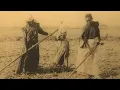 History of slavery at Brazoria County plantation preserved to ensure its dark past isn t forgotten