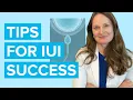 Maximize Your Chances for Getting Pregnant with Intrauterine Insemination - Dr Lora Shahine