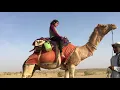 Back on the camel saddle