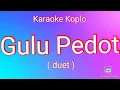 Download Lagu Gulu Pedot - Karaoke Koplo | Duet