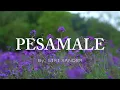 PESAMALE SONG | SIRI XANDER | PESAMALE FULL VERSION | MANAMOZHIYIL PESUM SONG