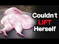 Download Lagu the Most Disturbing 600-Lb Life Iceberg