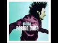 2-Mazika_Rachid-Taha_Daiwan_Ach-Adani