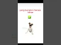 Download Lagu IB : tiang masih berdiri bendera makin tinggi #hanyauntukhiburan   #edit #lagu#konten #konten#rendom