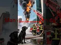 Download Lagu man kare so paran de (dog brave) @Realmen.18