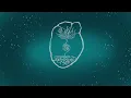 Elderbrook & Ahmed Spins - Waterfall (Extended) Official Visualiser