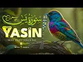 Lagu Relax Your Heart \u0026 Sleep Peacefully | Ultimate RELAXING Quran to Ease Your Soul | Zikrullah TV