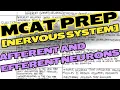 MCAT NERVOUS SYSTEM - Afferent Sensory and Efferent Motor Neurons