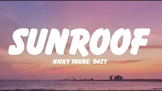 Nicky Youre, dazy - Sunroof (Lyrics)