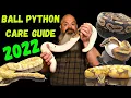 Ball Python Care Guide for Beginners